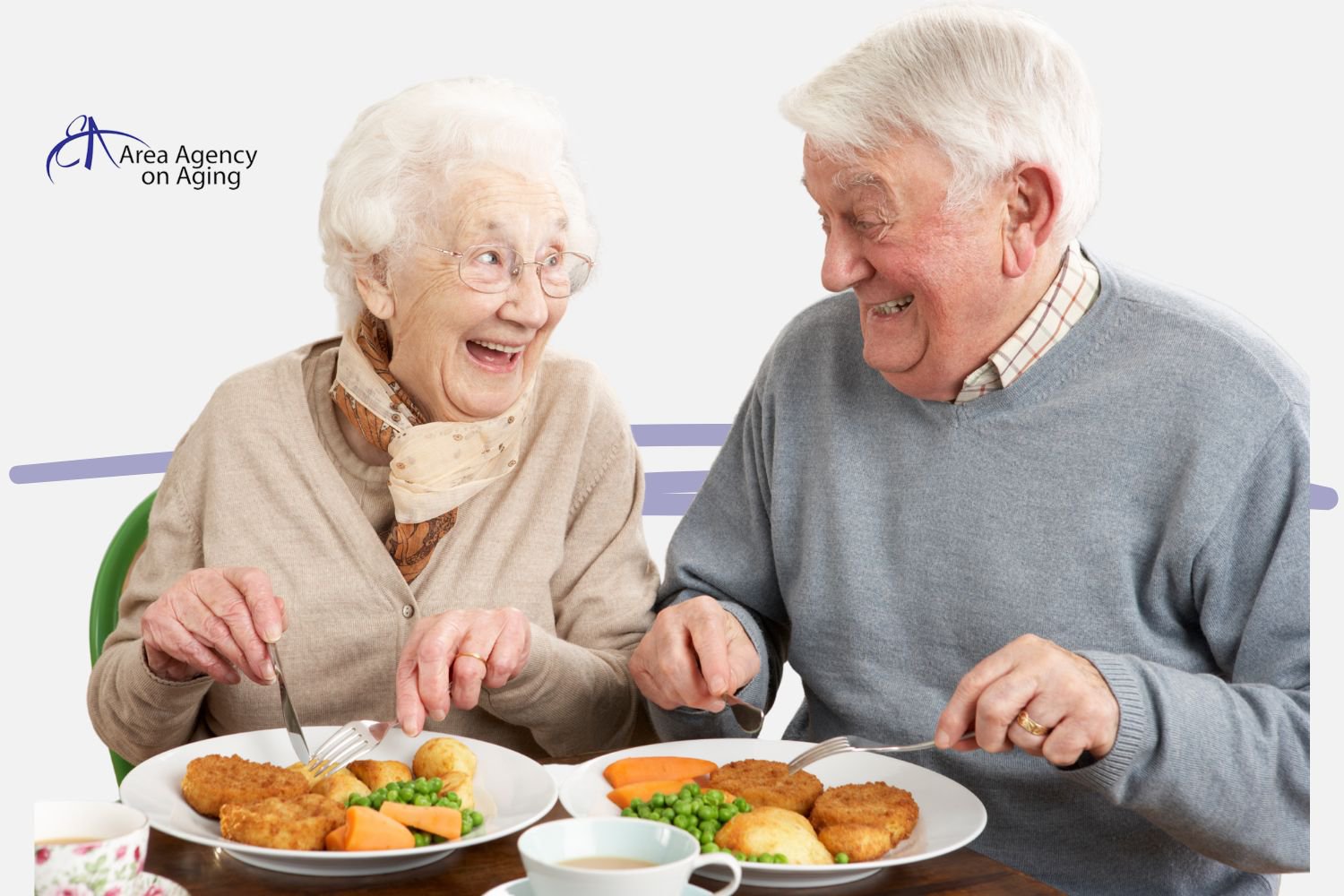 What Food Programs for Seniors are Available Today? cover